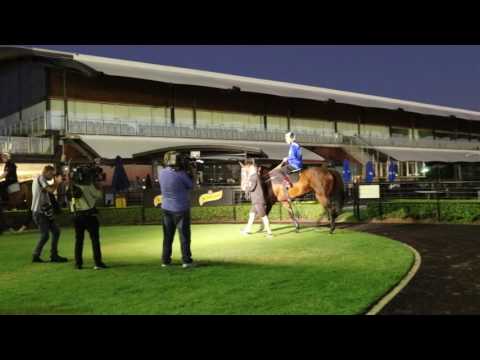 ATC TV: Winx Trackwork - 23rd Feb 2017