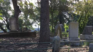 SCARY HAUNTED GRAVEYARD WALK