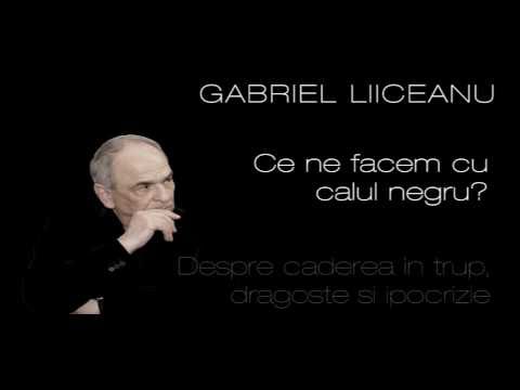 "Ce ne facem cu calul negru?" de Gabriel Liiceanu