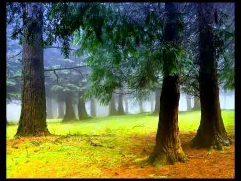 A Battle of wits - 30. A Battle of wits