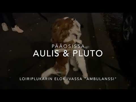 Loiriplukari: Ambulanssi (Official video)