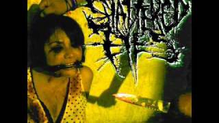 Shattered Eyes-The Victim(2007 Demo)