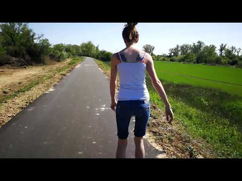 Cyklotrasa Nové Mesto nad Váhom-Pieštany