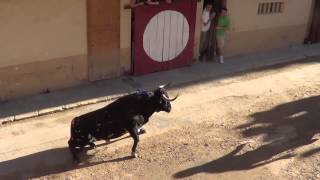 preview picture of video 'Betxi..sabado 21 9 13 toro tabaquero Ganaderia Jandilla cogida en la salida'