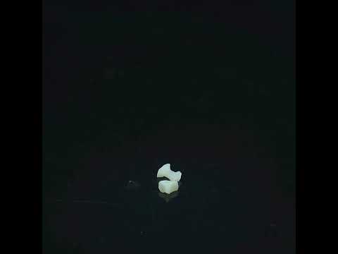 YouTube 썸네일