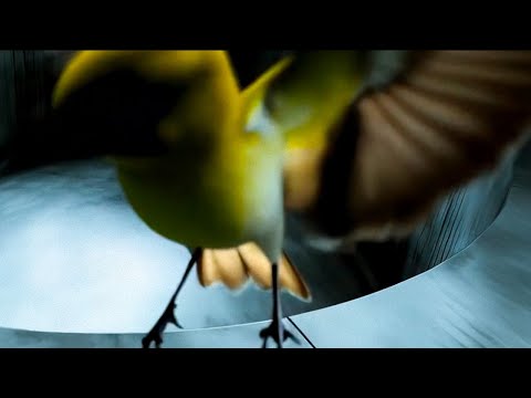 Clara La San - Unplanned (slowed) (Visualizer)