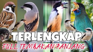 Download lagu MASTERAN CENDET FULL TEMBAKAN PANJANG || panjang & jernih dijamin gampang masuk mp3 Download lagu MASTERAN CENDET FULL TEMBAKAN PANJANG || panjang & jernih dijamin gampang masuk mp3