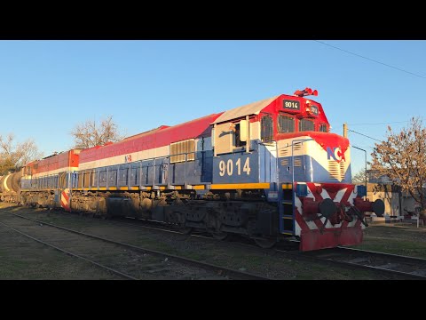 [4K] Tren vacío de NCA con destino a General Deheza pasando por Marcos Juárez al atardecer!!!!!!
