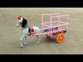 Making Horse Loader Cart From Matchbox At Home