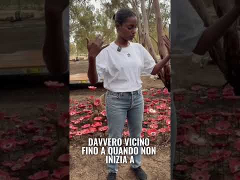 Anteprima video YouTube