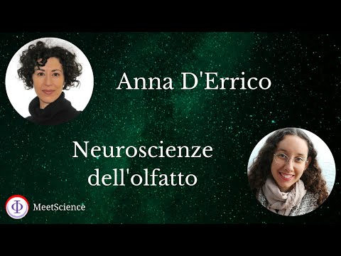 Neuroscienze dell'olfatto 👃 - con Anna D'Errico