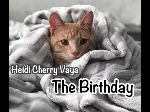 Fun Bedtime Story For Kids | Heidi, Cherry & Vaya - The Birthday