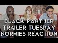 Black Panther - Trailer 2 Reaction