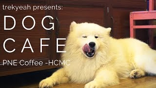We Found A Dog Cafe in Ho Chi Minh City