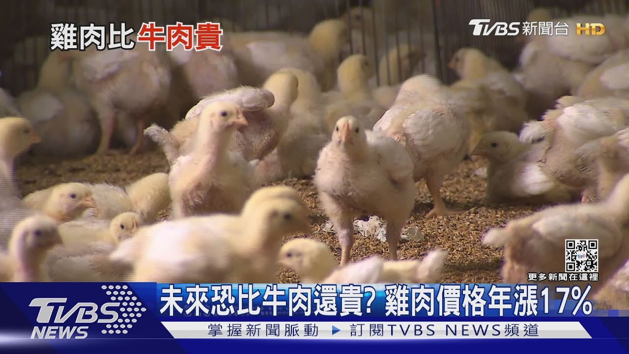 有片／烏俄重創飼料價格　英國超市業者：雞肉恐比牛肉貴！