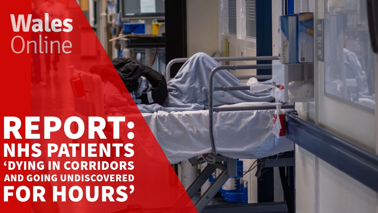 NHS patients ‘dying in corridors and going undiscovered for hours’, report says