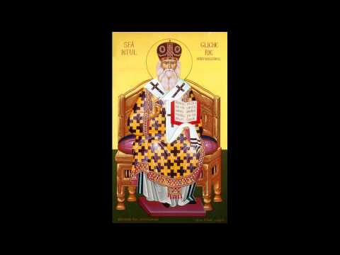 27. Liturghie Sfantul Glicherie 2011 - Predica PS Kiprian