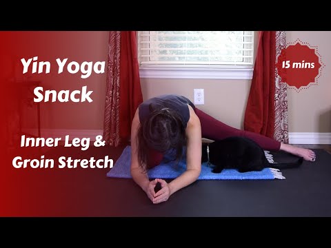 Inner Leg & Groin Yin Yoga Snack {15 mins}