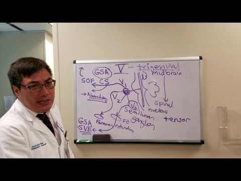 Cranial nerve V