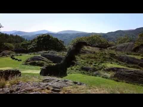 Turner Hall Farm Campsite