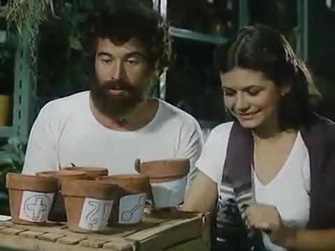 Der fliegende Ferdinand  Folge 4