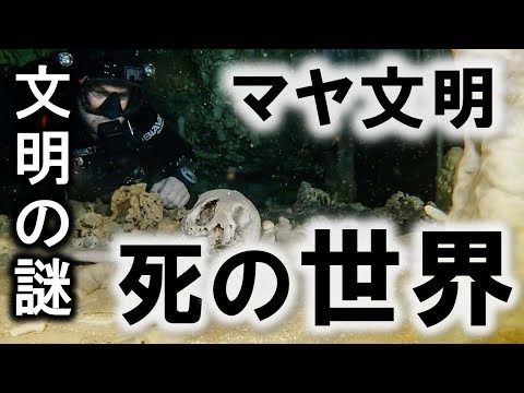 マヤより: これは地下の骨の風景の真ん中で発見されました