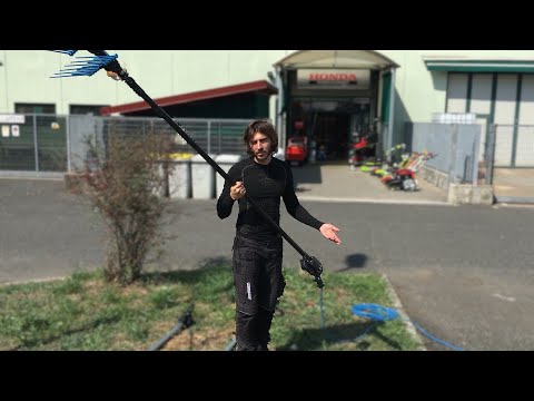 download lagu mp3 mp4 Raccogli Olive Elettrico, download lagu Raccogli Olive Elettrico gratis, unduh video klip Raccogli Olive Elettrico