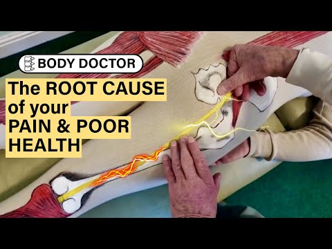 THE BODY DOCTOR | The Hidden Cause of Your PAIN & POOR HEALTH