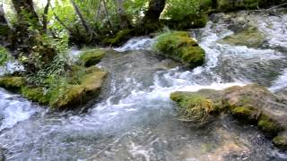 preview picture of video 'アキーラさん訪問⑯クロアチア・プリトヴィツェ国立公園Plitvice Lakes,Croatia'