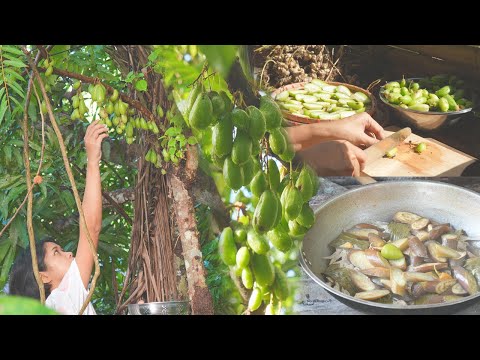 Harvesting and Cooking Bilimbi with Ponyfish | Philippine Countryside Life