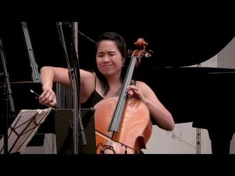 Merz Trio – Brahms Piano Trio No. 1