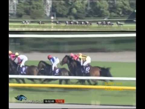 Buena Vista - THE VICTORIA MILE G1 2010