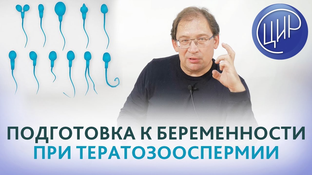 Превью видео на тему ЭКО при тератозооспермии