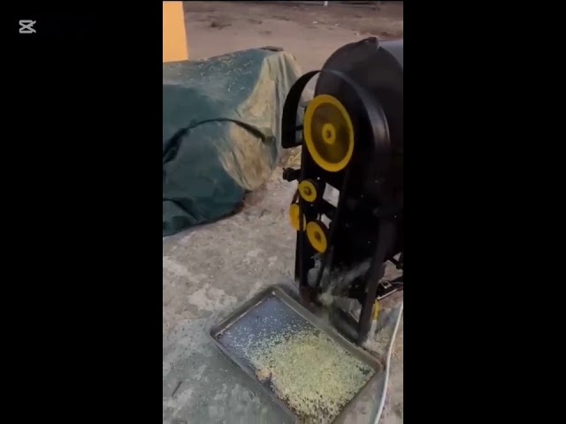 دراسة برسيم وقمح فيتنامي موديل MTL3