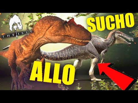 HOW to ALLO & SUCHO vs GIGA - Showcase