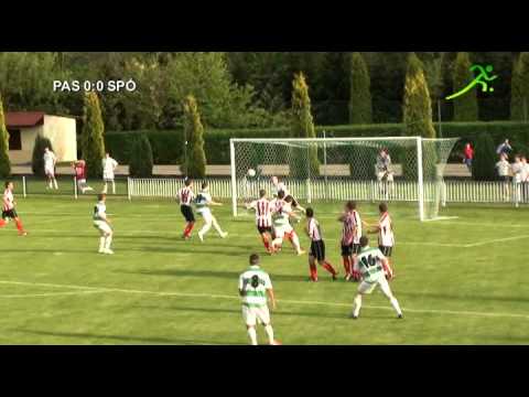 Pasjonat Dankowice - Spojnia Landek