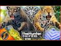 This Map Is INCREDIBLE And DANGEROUS Peru Early Access In TheHunter Call Of The Wild