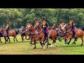 Huge Horse Stampede Charges Through Royal Park