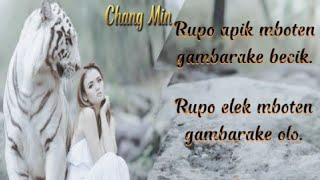 Download lagu Story wa macan putih 30 detik | terbaru mp3