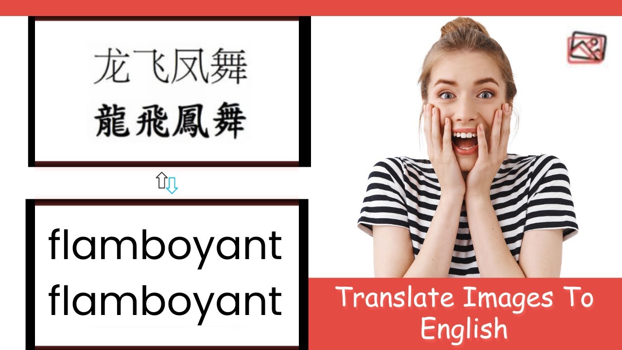 Picture Translate video 1