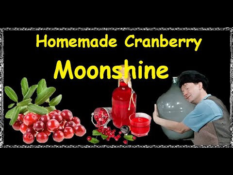 Homemade Cranberry Moonshine / Book of recipes / Bon Appetit