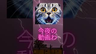 今夜の予告　真央ちゃんが…………#恋中真央#髪色 #髪の毛 #ヘアー  #jk #youtuber  #trending   #tiktok #未公開 #未公開シーン