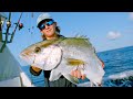 Deep Sea Fishing In Miami Amberjacks Dolphin And Wahoo