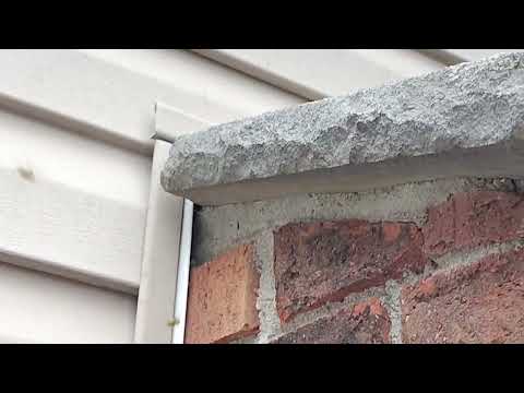 Yellow Jackets Nesting In the Siding in Allenwood, NJ