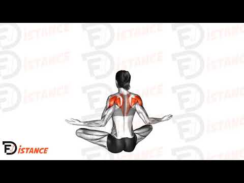 Exercice Squeeze du dos en position assise