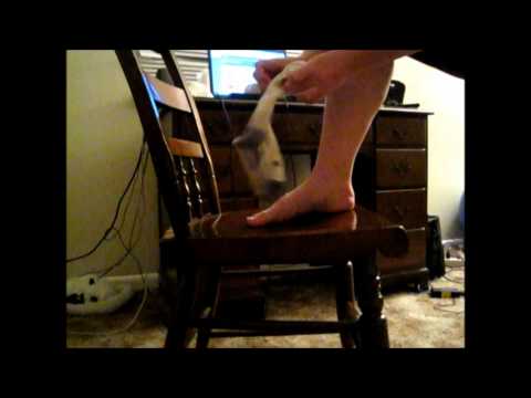 Zensah Athletic Compression Socks