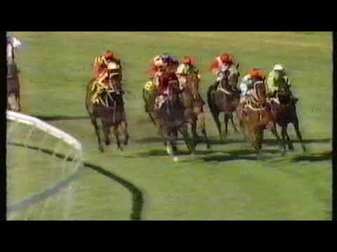 1987 Up And Coming Stakes - Sky Chase