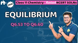 Equilibrium Class 11 Chemistry | Revised NCERT Solutions | Chapter 6 Questions 53-60