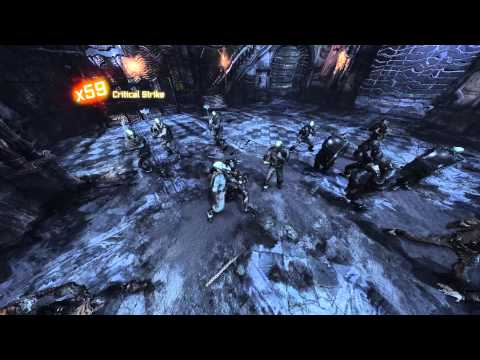 Batman  Arkham City Catwoman 100x Flawless Combo