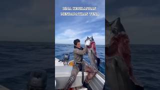 Download lagu ♻️😅🔥 seconds seconds Strange monster eats Bima's fishing results #shortvideo #fishing #viralvideo... mp3